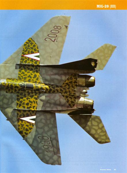 Fuerza Aerea 107 p61.jpg